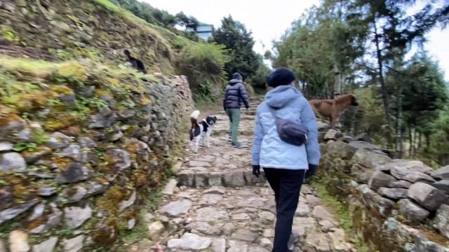 NAMCHE | EVEREST REGION TREKKING 2021 | SAGARMATHA NATIONAL PARK | NEPAL смотреть онлайн