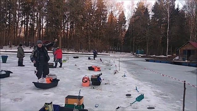 Прекрасное утро на Верхнем во всех пониманиях. Многочисленное количество поимок. Клёвое место лосин смотреть онлайн