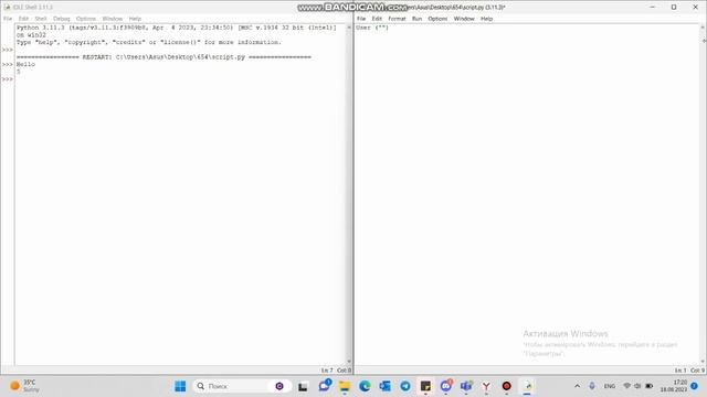Работа с переменными в python. смотреть онлайн