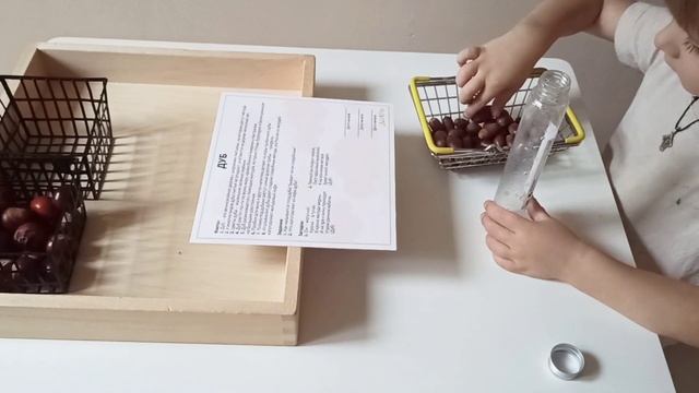 Изучаем Дуб ? Развивающие занятия с детьми #развивашки #занятия смотреть онлайн