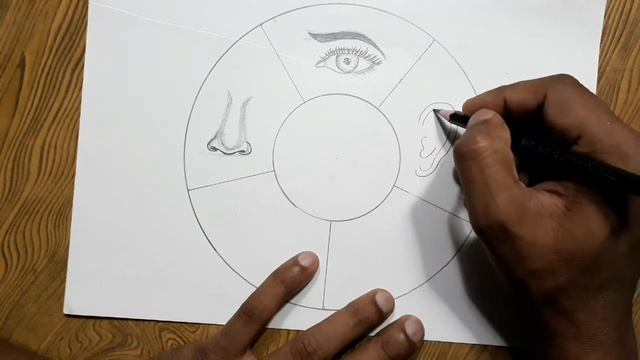 Easy way to draw 5 sense organs/ Five sense organs drawing step by step смотреть онлайн