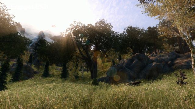 SkyrimSE | Re-Engaged, NVT & Intrigued ENB Compared | What Is Your Favorite? смотреть онлайн