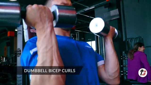 DUMBBELL BICEP CURLS | СГИБАНИЕ РУК С ГАНТЕЛЯМИ СИДЯ смотреть онлайн