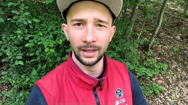 FUNGHI GIUGNO 2019 - Situazione crescita Porcini [Attenzione al SERPENTE!!!] смотреть онлайн