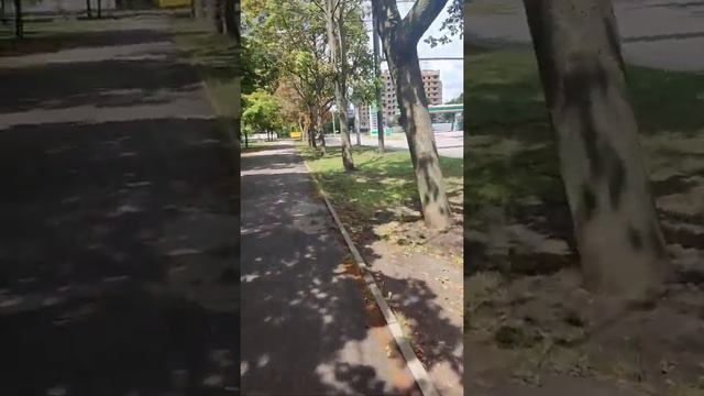 #украина#харьков#14июля#погода сейчас#11-24✅ смотреть онлайн