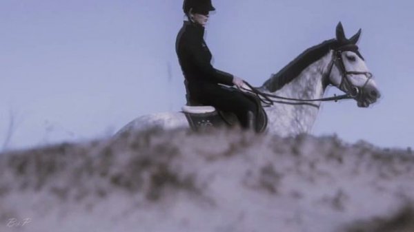 Сердце не игрушка「 Equestrian sport MV 」HD