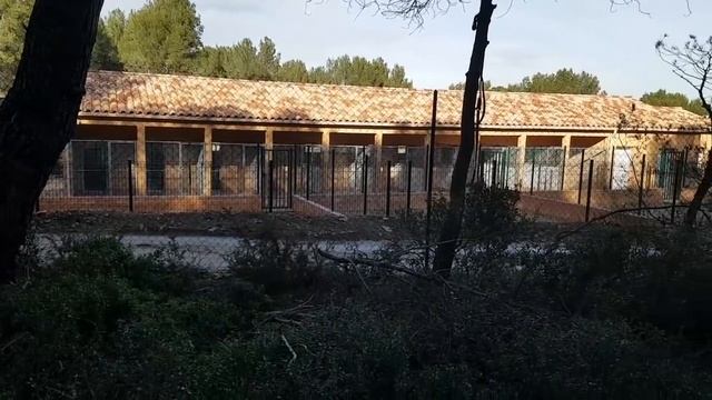 СЕМЕЙНЫЙ ВЫХОДНОЙ. Иногда надо ПОМОЛЧАТЬ. ТЫКВА для ФРАНЦУЗА. Что мы ЕДИМ. Чем занимаемся с МУЖЕМ смотреть онлайн