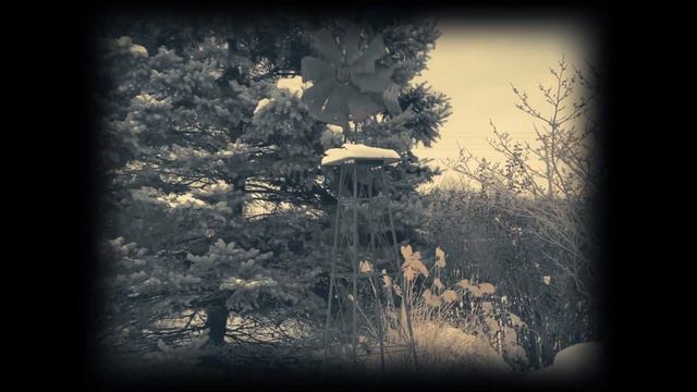 Harry in Winter by Patrick Doyle | Violin and Viola Cover | Elizabeth Knaub смотреть онлайн