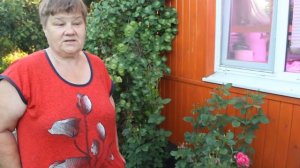 ЗАХВАТЫВАЕТ ДУХ ОТ ТАКОЙ КРАСОТЫ! ЮЛИЯ МИНЯЕВА: ОБЗОР САДА В ИЮНЕ. 25.06.20