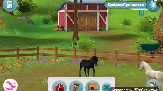 Новое обновление в стар стейбл хорсе смотреть онлайн