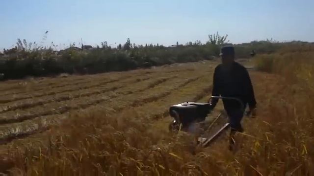 ХОРАЗМ Янги техника смотреть онлайн