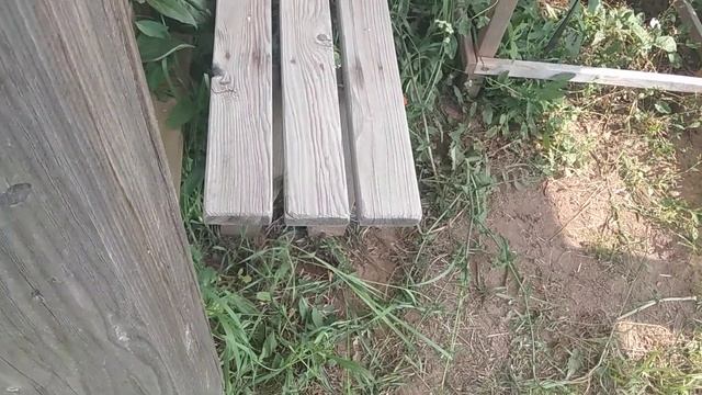 Срубил свою руку . смотреть онлайн