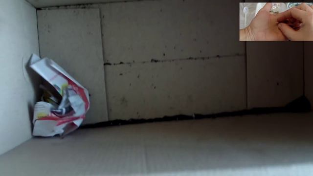 Посылка с ахименесами смотреть онлайн