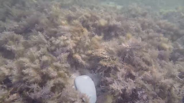 морской камень в Кабардинке смотреть онлайн