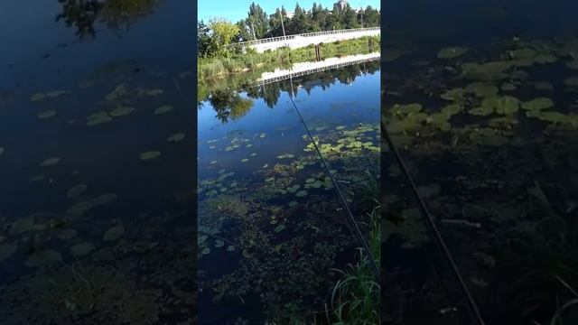 ловлю на "kanał żerański" смотреть онлайн