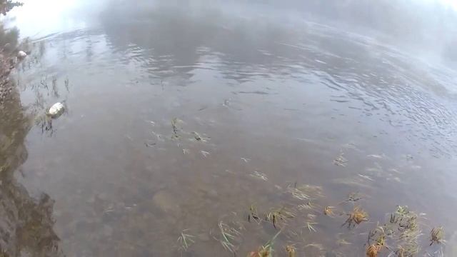 Осенняя форелька смотреть онлайн