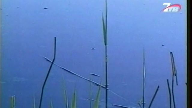 Диалоги о рыбалке №38. Рыбалка на линя на Кубани смотреть онлайн