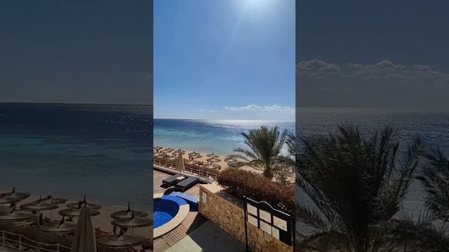 Шикарный пляж отеля Reef Oasis 5* Египет, Шарм-Эль-Шейх 🇪🇬 смотреть онлайн