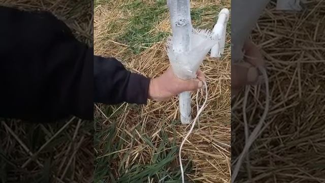 Ловушка для муравьев. смотреть онлайн