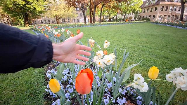 Эрланген фонтан магнолия /Erlangen Parkbrunnen