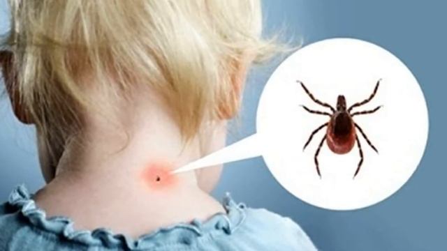 Мистический пульс астрального дыхания