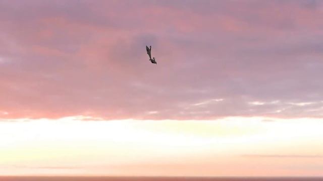 Windex 1200c Flight смотреть онлайн