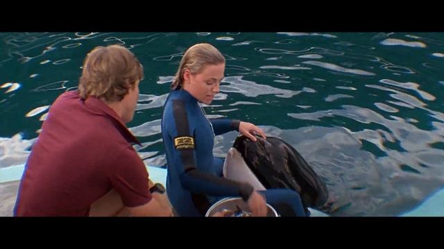 Every JAWS Movie Reviewed смотреть онлайн