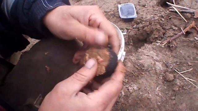 Рыбалка на Уртазыме. Щука, окунь на блесну. смотреть онлайн