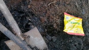 Компостные Кучи И Теплые Грядки Без Навоза и Помета ЛЕГКО!!! // Май 2022 г //С.Х.У