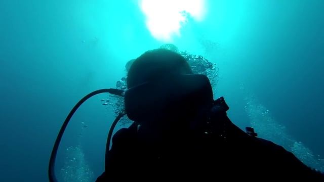 Odysea Plongée Tunisie / Scuba Diving Kelibia Tunisia: A tribute to the Mediterranean смотреть онлайн