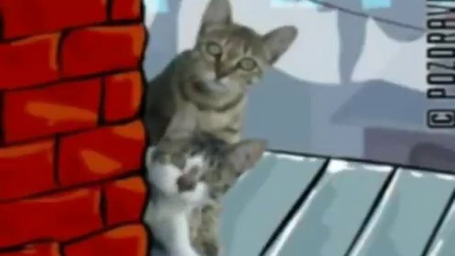 Мартовские коты 8 марта😇 смотреть онлайн