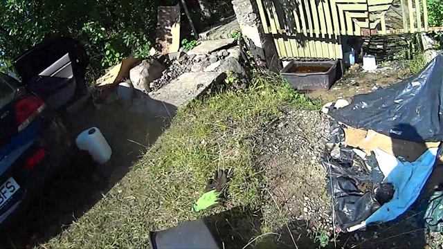 1701 Вишня - покупная защита от птиц не помогла смотреть онлайн