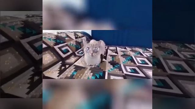 дивандек своими руками