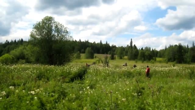 Фото Квадроциклы Лес и грязь 2011 slideshow смотреть онлайн