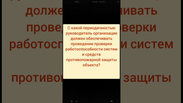 С какой периодичностью руководитель организации должен обеспечивать проведение проверки смотреть онлайн