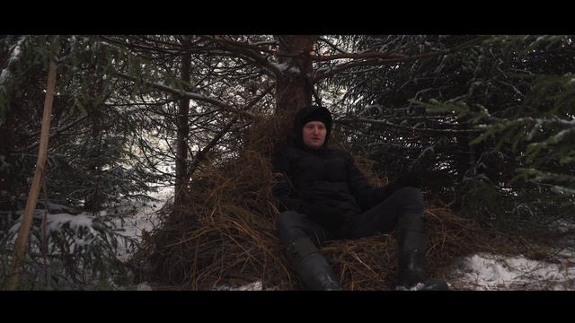 В такое мало кто поверит. Необычная история в лесу.