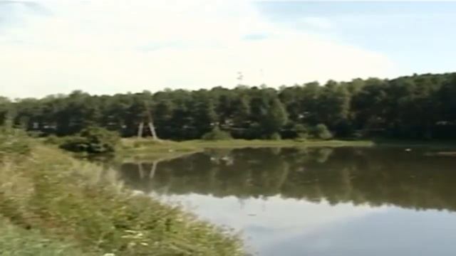 Долевая собственность. Плюсы и минусы. смотреть онлайн