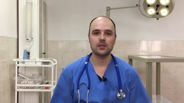 Пропала кошка что делать как искать и найти смотреть онлайн