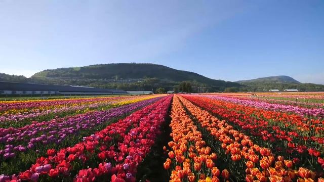 Beautiful Instrumental Worship Music 2023 27 - Soul Lifting Christian Praise Piano Music