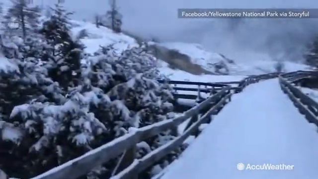 Giant snowflakes fall down as winter storm hits Washington смотреть онлайн