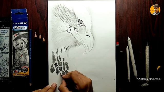 Draw Realistic Eagle /how to draw face, Eye, feathers ,blur background/step by step.#eagledrawing смотреть онлайн