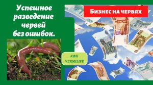 Успешное разведение червей без ошибок. Бизнес на червях и биогумусе.