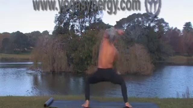 Yoga Synergy Spinal Movements Sequence with Simon Borg-Olivier смотреть онлайн