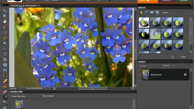 Photoshop Elements 9.0 Tutorial Moving the Image Adobe Training Lesson 3.9 смотреть онлайн
