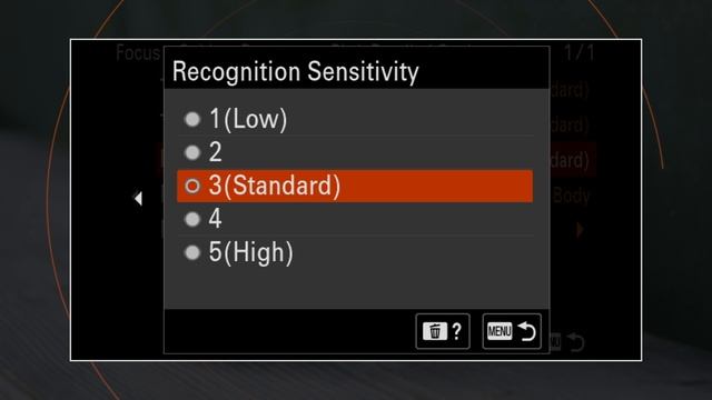 Sony A7R V: Bird Photography / Birds In Flight Review (+ Bird Eye AF Explained) смотреть онлайн