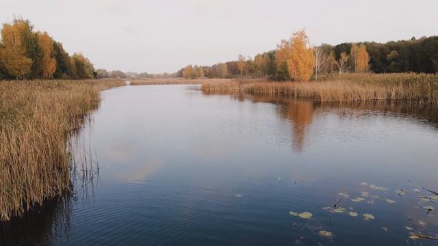 НА ЭТОТ ЗАПАХ СБЕЖИТСЯ ВЕСЬ КАРАСЬ С ВОДОЕМА! Перед рыбалкой кладу молотые семечки в червей. смотреть онлайн