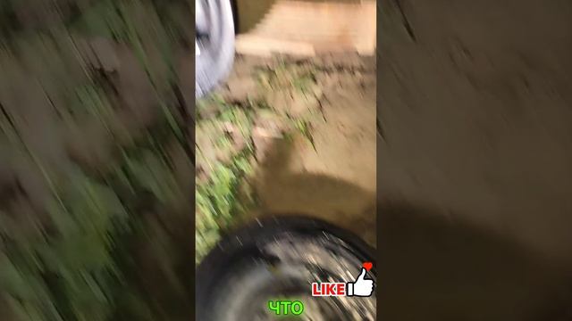 Приколы сто....Сто моментов юмора №20 #приколы #развлечения #смех #юмор #смешныевидео #automobile смотреть онлайн