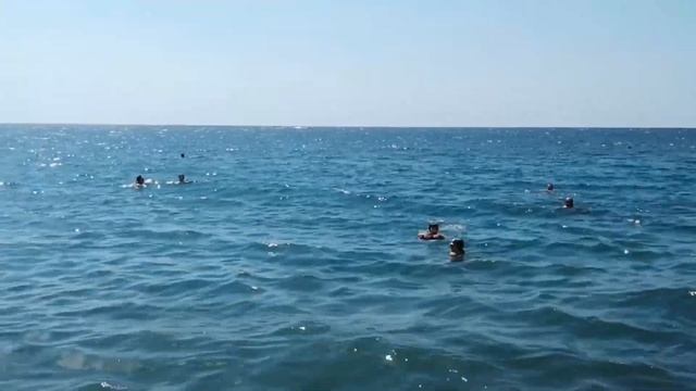 ШОК! Пляж Сукко Анапа Утриш. Галечный пляж Анапа, где нет водорослей в Анапе? Отдых в анапе 2020