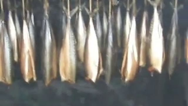 Makrela Wędzona Islandia Iceland 2.3