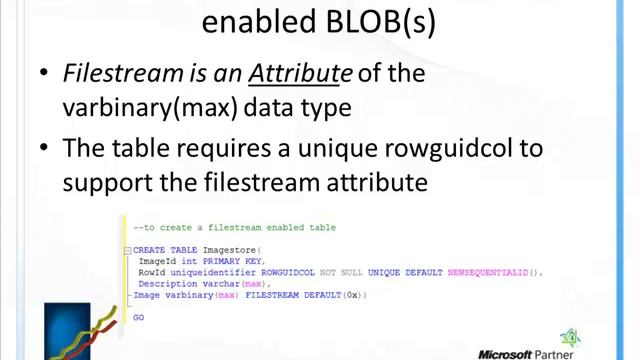 SQL Filestream BLOB storage смотреть онлайн